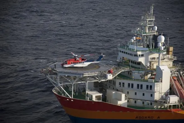 chain link helideck mesh