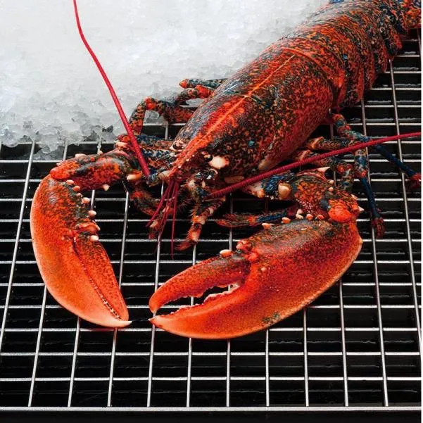 High-Quality Sidewalk Trench Drain Covers – Durable & Custom Solutions